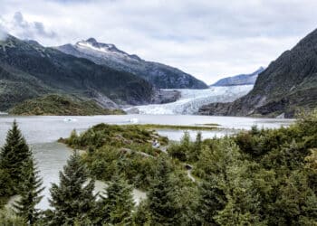 Environmental Whistleblowers