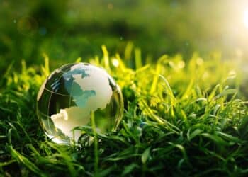 Glass globe on a patch of sunny grass