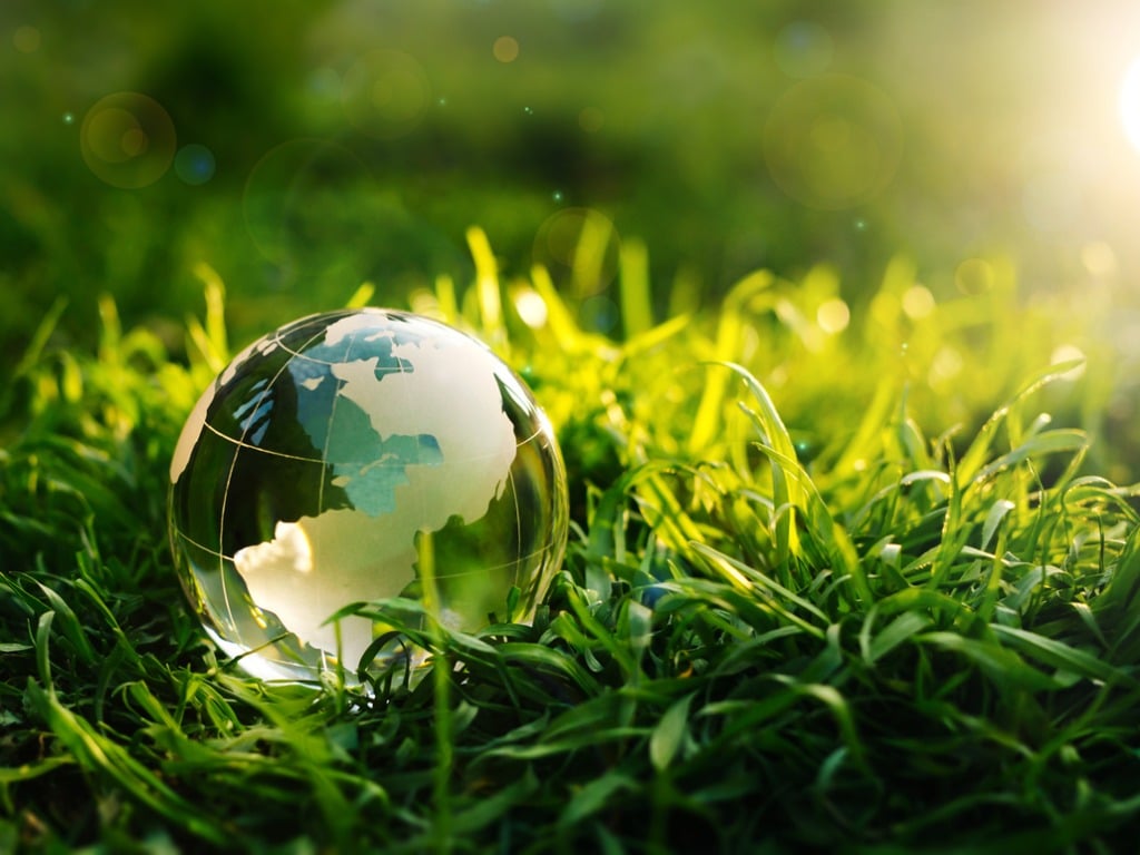 Glass globe on a patch of sunny grass