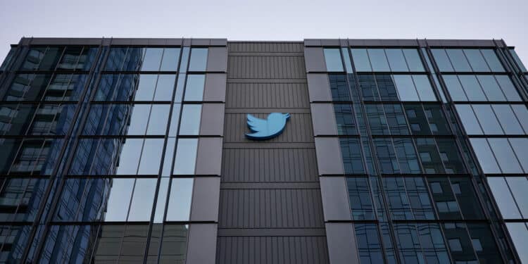 Twitter Whistleblower