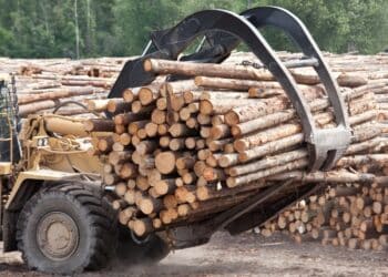 Logging machine taking a bunch of cut trees