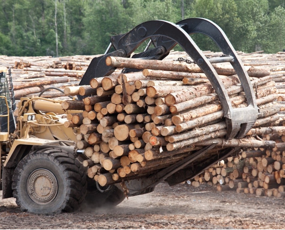 Logging machine taking a bunch of cut trees