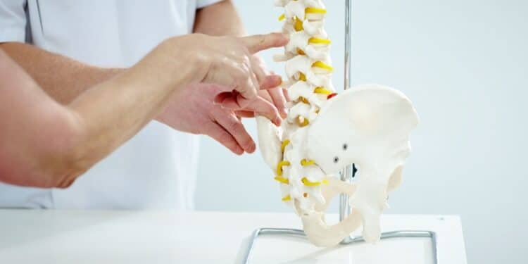 Chiropractor and patient pointing to a model of a spine