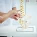 Chiropractor and patient pointing to a model of a spine