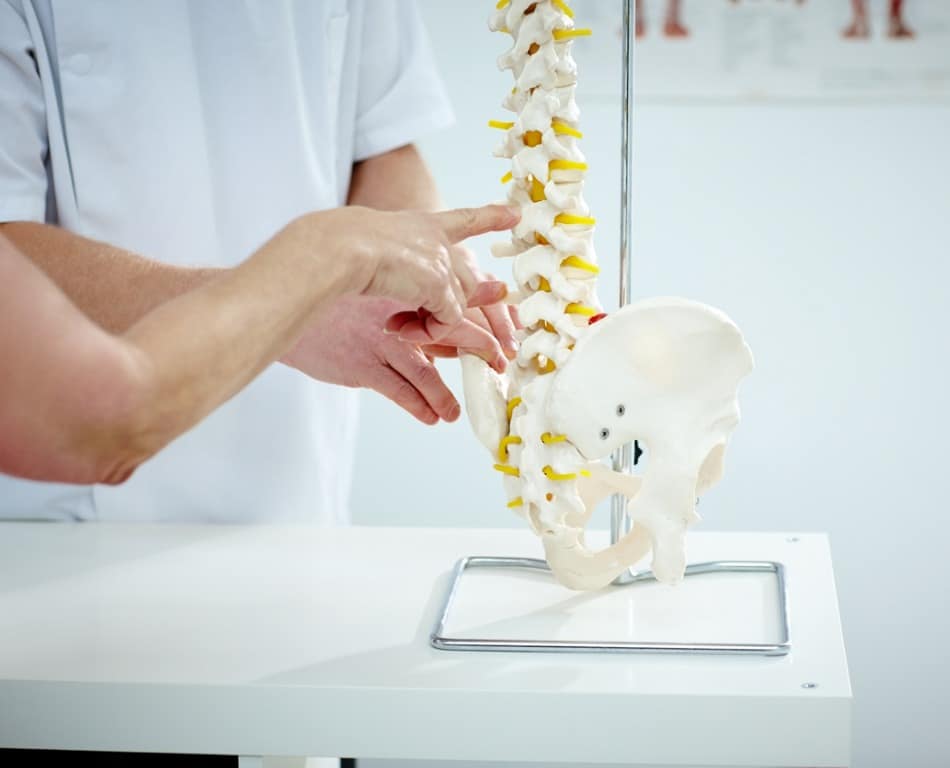 Chiropractor and patient pointing to a model of a spine