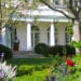 Rose Garden