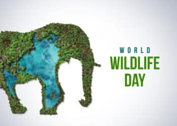 World Wildlife Day