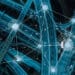 Qui Tam Whistleblower Suit Accusing Transportation System of PPP Loan Fraud Leads to $2 Million Settlement